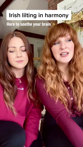 ‘Tyrell’s Pass’ jig #absolutelilth #lilting #liltingchallenge #riffchallenge #traditionalirishmusic #irishsinging #seannos #folkmusic #trythis #irishlilt #ireland #irelandtiktokers🇮🇪🇮🇪 #irish #blend #harmony #vocals #duet #acapella #typ #trending #trendingsound #mouthmusic #braintickle #brainmassage #relaxingmusic #brainfloss #calmingmusic 