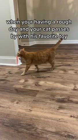 Kurt and that toy bruh 😭