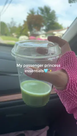 Pov im passenger princessing #passengerprincess #ericag✨ #maman #theskinnyconfidential #StanleyCup 