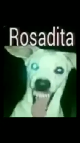 Rosadita 😝  #fypシ #foryou #foryoupage #fyp #meme 