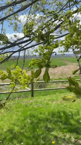 Replying to @christina heres some day off vibes 🫠 #novascotia #adayinmylife #Vlog 
