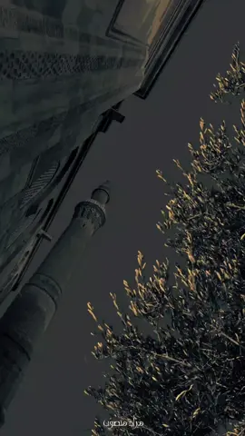 #الامر_بالمعروف_والنهي_عن_المنكر #الشيخ_خالد_الراشد #مواعظ #سفينة_النجاة #اكسبلور #اكسبلور_اسلامي #خالد_الراشد#اسمع #اسمعي #ايات #ادعية #نصائح #خطب_ومواعظ_دينية #محاضرات_ومواعظ #ربنا_ولا_تحملنا_ما_لا_طاقة_لنا_به 