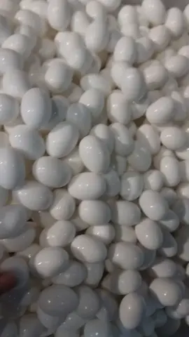 telor palsu atau telor mainan##fyp#tiktokviral#viralditiktok#fypviral#fypdongggggggg#merpati#vetafaram#vetabolic#merpatiindonesia#merpati_balap#merpatilovers#merpatilover#merpatikolong#merpatikolong#merpati_lover#merpati_lovers#merpati_lover#merpatilampung#merpati_kolong#merpatipekalongan#merpatitegal#merpatifamily#merpatiputih#merpatibandung#merpatitasikmalaya#merpatipangandaran#merpatijawa#merpatimadura#merpatitiktok#merpatinusantara#merpatibalap#merpatipos#merpatiputih#merpatikolongmejaa#merpatikolongmeja#merpatitinggi#burung#burungmerpati#merpatijakarta#merpatisumatra#merpatikalimantan#merpatiku#merpatisurabaya#merpatibekasi#merpatitinggi#merpatipurwokerto#merpatibandarlampung#merpatikentong#merpatikentongsby#merpatiindonesia#merpatihiasindonesia#merpatiposindonesia#merpatihias#merpatiku#merpatikolongindonesia#hobymerpati#hobbimerpati#hobbimerpati#merpatiku#merpatibalapindonesia#merpatiindonesia#merpatihilang#cintamerpati#keluargamerpati#merpatimeja#colombusmerpati#rampokmerpati#jendralmerpati#kendwoodmerpati#jaguarmerpati#pasukanmerpati#kandangmerpati#merpati_love#jokimerpati#salammerpati#fypmerpati#balapmerpati#sahabatmerpati#merpatipos#merpatiracing#burungmerpati#burungdara#dara#doro#merpatinusantara#pmti#pmtiindonesia#pmtibandung#pmtitasikmalaya#pmtikebumen#merpativiral#merpatipekalongan#jamumerpati#dopingmerpati#vetafarm#vetabolic#blud#giringkeras#giringkeket#telor#telormainan#telorpalsu#ring#ringmerpati#tempatminum#tempatminummerpati#tempatminumburung#tempatminumayam#ayam#unggas#merpaticidera#pmti#kaos#kaosviral#kisamerpati#kandangmerpati#kotakbertelo#herculest#kaosmerpati#kaoshobbymerpati#kaospecintahobbymerpati 