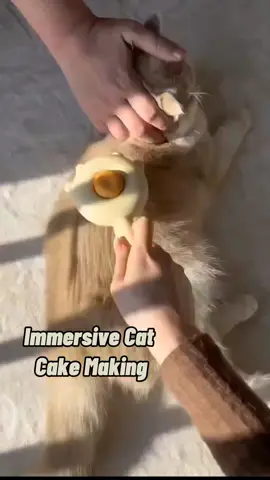 make cat cookies #goodthing #uk #uktiktok #catsoftiktok #petsupplies #petoftiktok #pet 