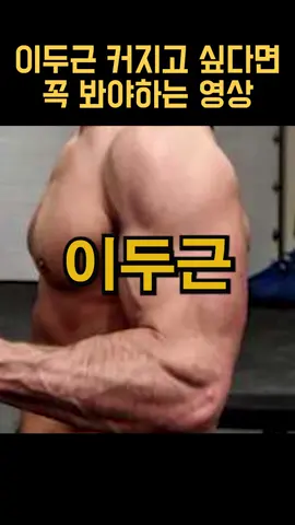 이두근 커지고 싶다면 꼭 봐야하는 영상 #헬스 #헬스정보 #이두근 #이두근운동