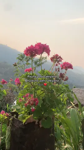 🥲❤️#bibek #fyp 