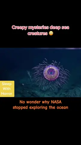Are you #scared of the #deepseacreatures? Why #nasa stopped #exploring the #ocean ? #viral #fypシ #oceanlife #creepy #horrorstory #thalassophobia #omg 