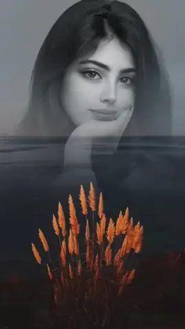 حبيب الروح لك روحي#تصميمي #قصايد #شيلات #ترند #ترند_جديد  ‏#viral #fypシ #تيك_توك #اكسبلور #السعودية #عرب #تصميمي #همسة_احساس@عبدالرحمن & DHMEE7788 @الُحســـــام A_B_N_SYRIA @ود @تسواهن @زهرة الامل @B_N_T_ALSAUDIA همس🇸🇦 