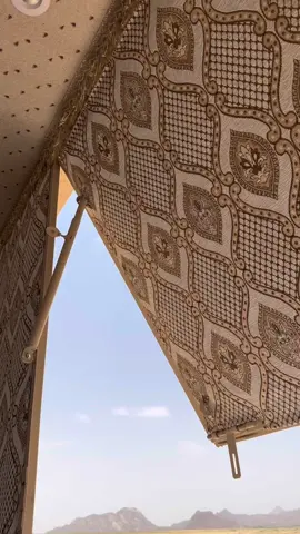 له مجلسٍ  من ثقلت همومه نصاه دكّو خطاطيره .. هــــــدب زوليّته 🤍 #اكسبلور#اكسبلورر#حركة_الاكسبلور#تيك #تيك_توك#قهوه#البر#الجنوب #foryou#tiktok#explore#like#fyp 