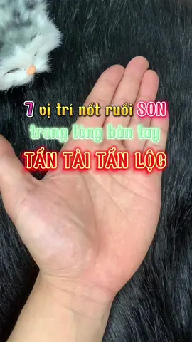 7 vị trí nốt ruồi Son trong lòng bàn tay tấn tài tấn lộc! #xuhuong #phongthuy #nốtruồison #nốtruồiphongthuỷtàilộctìnhduyên #xemchitay #giầu 