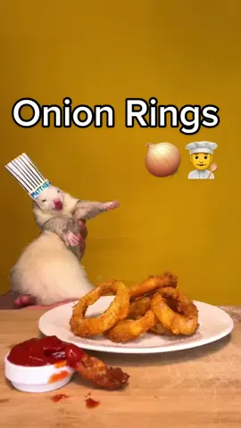 Chef Ferret Cooking Onion Rings 🧅👨‍🍳