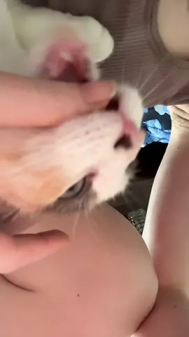 PURRRRR