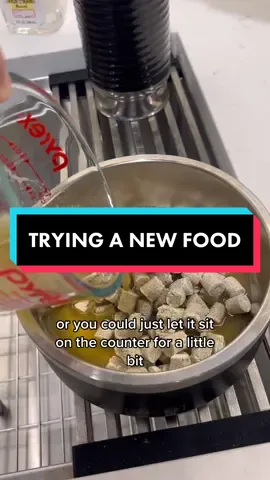 trying @Instinct Pet Food’s raw longevity line for the first time! i got it from my local pet store, but it’s pretty widely available as well  it was thawed using @Open Farm Pet’s chicken bone broth (RUDDER15) #newdogfood #dogfood #dogtok #rawfeddog #rawfeeding #feedfresh #freshfood #freshdogfood #instinctdogfood #trywithme #dogmom #dogfoodrecipes #dogfoodreview 