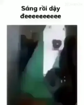 #meme dậy đê😼#MemeHàiHước #GấuHàiHước #gấunhây #GấuHàiKinhDị #VideoVui #WooDungDieu #xuhuongtiktok 