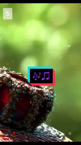 Which soundtrack fits best? Qual trilha sonora se encaixa melhor? 1) Vivaldi (Four sea sons - winter)  2) Chopin (Nocturne)  3) Mozart (Lacrimosa)  4) Beethoven (N° 5 - fate)  5) Bach (cello suíte)  6) Debussy (clair de lune) #trilhasonora #soundtrack #配樂 