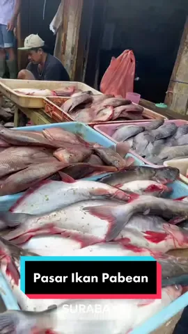 Pasar Ikan Pabean Surabaya #pasarpabeansurabaya   #surabaya  #jawatimur 