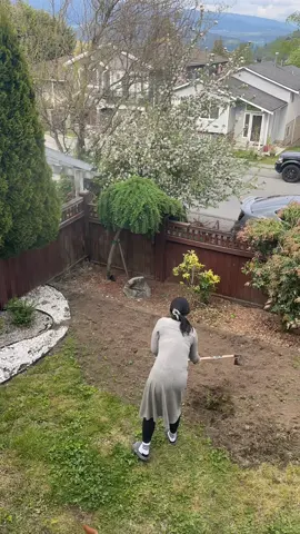 Turning weeds infested front yard into japanese garden day 2 and 3 #diylandscaping #gardening #gardenproject #landscaping #nograssgarden #japanesegarden 