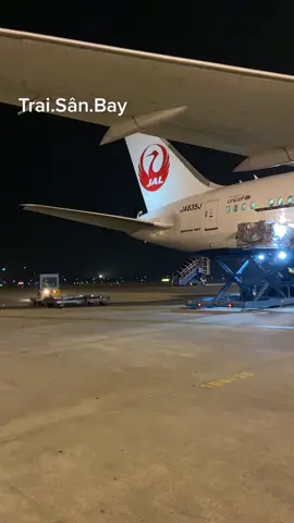 Tàu Nhật to lắm ace ak!!!!#japanairlines #sânbay #groundhandling 