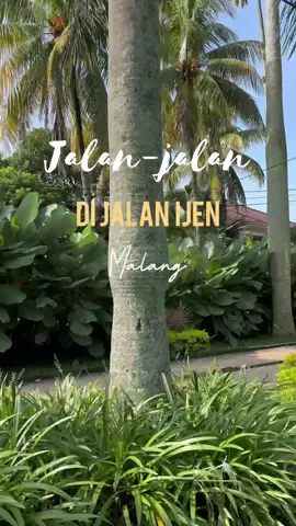 Rumah orang-orang kaya di Jl Ijen Malang - Part 1 #jalanijenmalang #ijenboulevard #parisvanjava #idjenboulevard #malang #kotamalang #malangterkini #malanghits #exploremalang #yoikimalang #fyp 