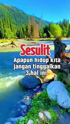 #motivasi #kehidupan #pemandanganalam #nature