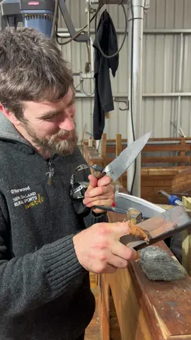 Sharpening my blade shears between sheep.  I normally sharpen like this after every sheep.  #bladeshearing #sharpening #shearing #sheepshearing #scissors #wool #merino #ranchlife 