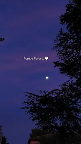 Unnalethan Toongelenu Sollepore 👀🖤. #enaalepakkaporen #tamilsong #fypシ #fyp #lostinmusic🎶 #❤️  #kausaliya🤍 #40k #2M #healing #lovesong #vibes #lyrics #follow 