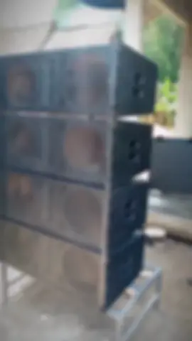 line array 12inch dobel tweter harmonika  #fyp #soundsystem #linearraysystem 