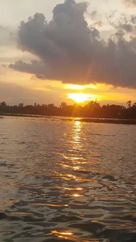 #videocảnhđẹpchill #sôngnướcmiềntây #phongcảnhviệtnam #mộtbuổichiềuchill # #tiktokgiaitri # ngắm cảnh buổi chiều thơ mộng. 