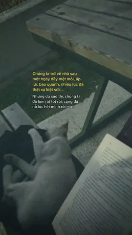 “Ngay mai biet dau nhung dieu tot dep lai toi…?”#storytâmtrạng #trạmcảmxúc #videotâmtrạng #BookTok #viral #xuhuong 