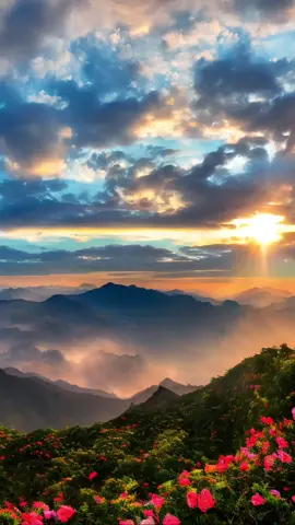 our world has so many beautiful places it's not all bad  #peaceful #aestheticvideos #foryoupage #fypシ #relaxation #peaceandnature🌿 #beautiful #forest #vibes 