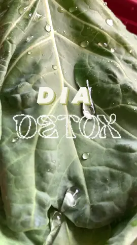 Você consegue consumir tudo que aparece no video em um unico dia? Com o Dia Detox Sim 🫠✅.  #diadetox #detox #Foodie #alimentacaosaudavel #dietaliquida #sucoverde 