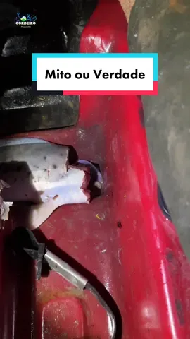 Mais uma dos mitos do Rio Madeira que se tornou FATO!!! #pescaria #viral #candiru #fish #candirufish #mitoouverdade #tiktok #fish #misterio 