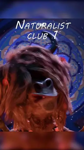 Naturalist Club - Zootopia #zootopia #movie #animation #animals #funny #fyp 