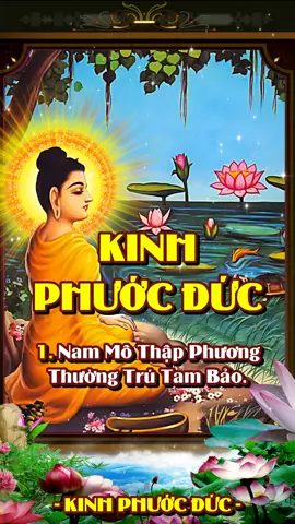 Kinh Phước Đức - Thầy Thích Chiếu Túc Tụng #kinhphuocduc #adidaphat #nammoadidaphat