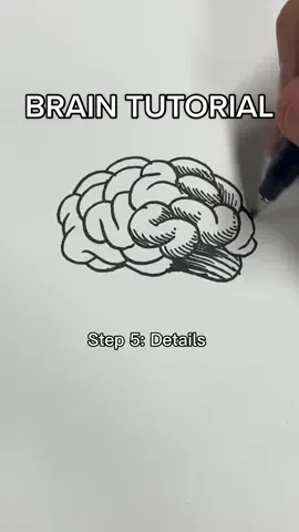 How to draw a 🧠 #art #drawing #howto #arttutorial #tutorial 