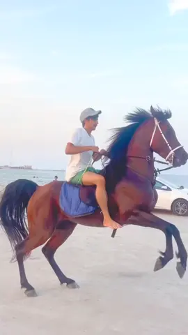 مزهاب ❤️. 