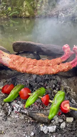 Kaburga Kemiginde Adana Kebabı 🥩🦴 #meat #meatlovers #outdoorcooking #campfire #survival #bushcraft #outdor #foodvideo #foodvideos #yemektarifleri #asmr #relax #cooking #food #hungry #adventures #doğadayaşam 