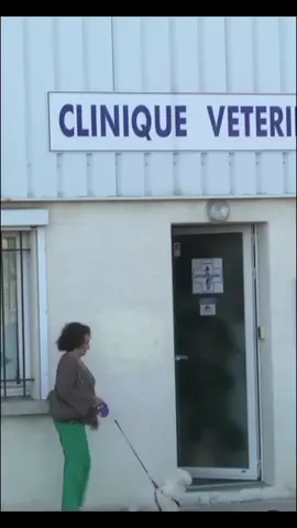 Me e equivocado 🤔🤔 #risastiktok #risas #risas😂😂😂 #humor #humortiktok #videoderisa #trending #viral #top #bviral #parati #byxylla 