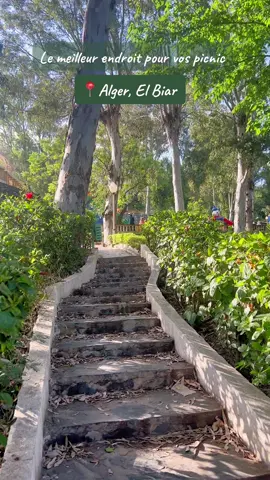 📍| Jardin Tifariti 🌿 le meilleur pour vos picnic !   #meilleurédroit #algeria #alger #elbiar #parcpourenfant #picnic #algerie #fyp #pourtoi #discovernewplaces #tifaritigarden #jardintifariti 