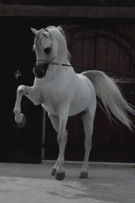 #♡♡♡♡♡♡♡♡♡♡ 