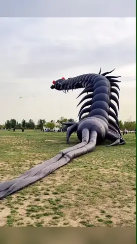 Super kite#amazing #wow #cool #foryou #viral 