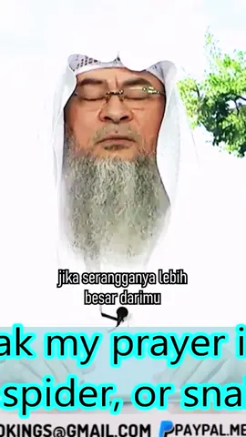 #sheikhassimalhakeem