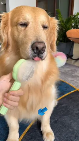 Grooming Pet Brush | Per Comb #furmom #tkmademebuyit #musthaves #PetsOfTikTok #petlover  #groomingtips #groomingdog #petbrush 