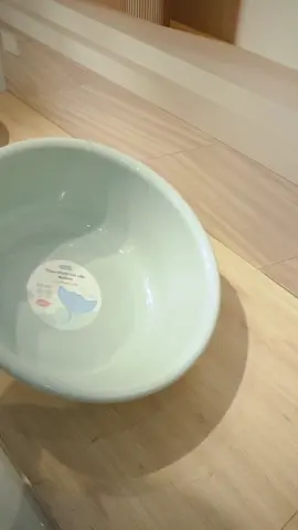 Thau rửa mặt nhà Inochi #GiaDụngTiệnÍch #ReviewĐồGiaDụng #ĐồGiaDụng 