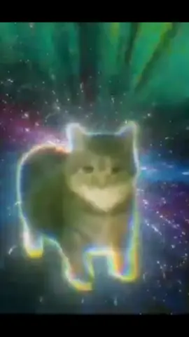 #oiia #catmeme #tranceremix #electro #fyp 