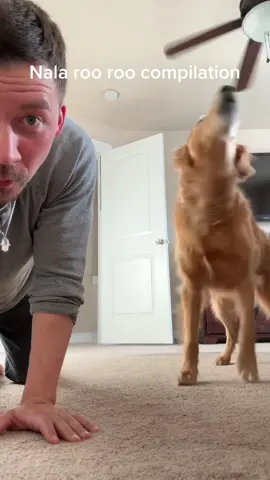 This girl has some serious sass 💁‍♀️