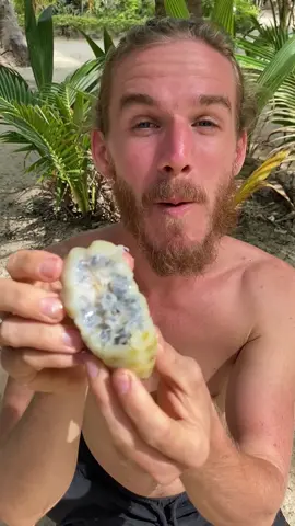 This fruit is called Vomit fruit for a reason. The extremely strong pungent taste reminds me of the taste of blue cheese but the coolest part about this fruit is that it numbs your whole mouth. Would you eat it? #fruit #veganfood #Foodie #survival #plantbased 