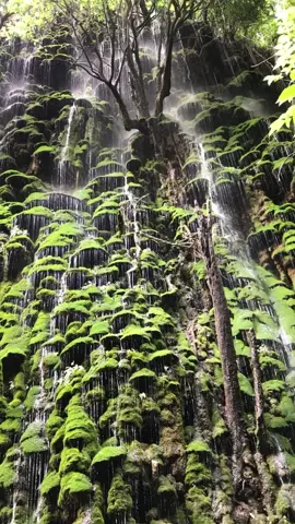 #ဂဏန်းကျရေတံခွန် #ရွာငံ မရောက်ခင်မြိုင်စံပြကျေးရွာမှာရှိတာပါ ရေတံခွန်ရှေ့ရောက်တာနဲ့ စိတ်တွေအေးချမ်းသွားတယ် #foryou 