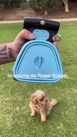 #pets #pet #usa #freeshipping😍😍  https://favoriteepet.com/products/dog-pet-travel-foldable-pooper-scooper-with-1-roll-decomposable-bags-poop-scoop-clean-pick-up-excreta-cleaner