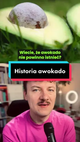 Fascynująca historia awokado #awokado🥑 #ciekawostka #nauka 